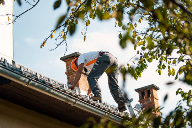 Best Roof Gutter Cleaning  in Union Grove, WI